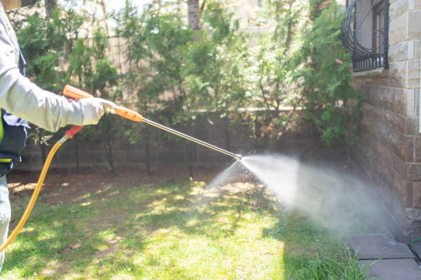 Best Wasp Removal Services  in Emory, VA
