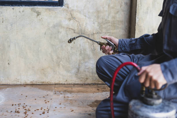 Best Local Pest Control Services  in Emory, VA